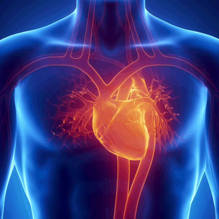 23.6 millones de personas morirían por una enfermedad cardiovascular