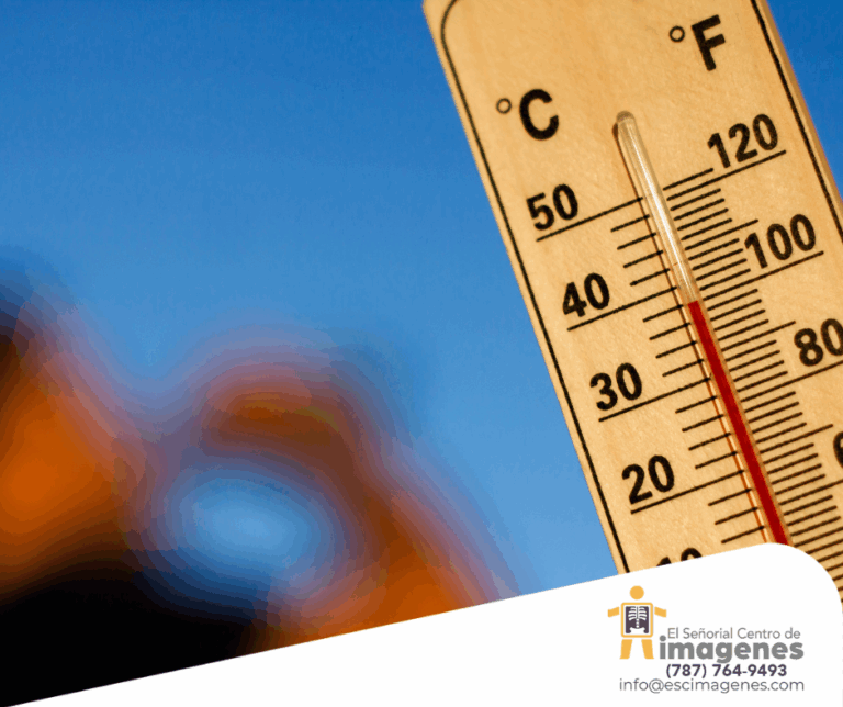 Consejos ante la ola de calor